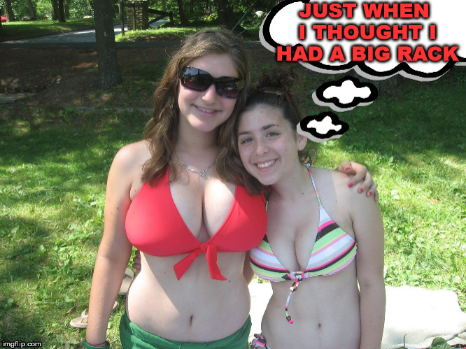 Nice Rack | image tagged in big boobs,busty | made w/ Imgflip meme maker