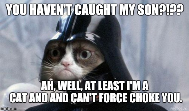 Grumpy Cat Star Wars Meme | YOU HAVEN'T CAUGHT MY SON?!?? AH, WELL, AT LEAST I'M A CAT AND AND CAN'T FORCE CHOKE YOU. | image tagged in memes,grumpy cat star wars,grumpy cat | made w/ Imgflip meme maker