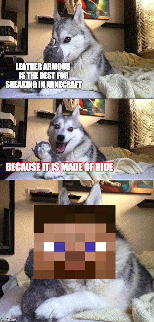 Bad Pun Dog Meme | LEATHER ARMOUR IS THE BEST FOR SNEAKING IN MINECRAFT; BECAUSE IT IS MADE OF HIDE | image tagged in memes,bad pun dog | made w/ Imgflip meme maker