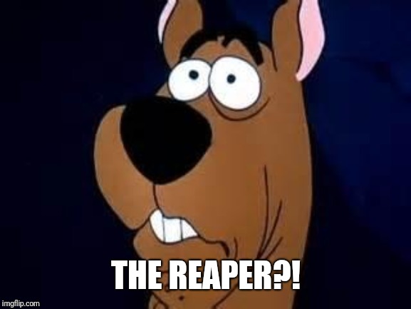 Scooby Doo Surprised | THE REAPER?! | image tagged in scooby doo surprised | made w/ Imgflip meme maker