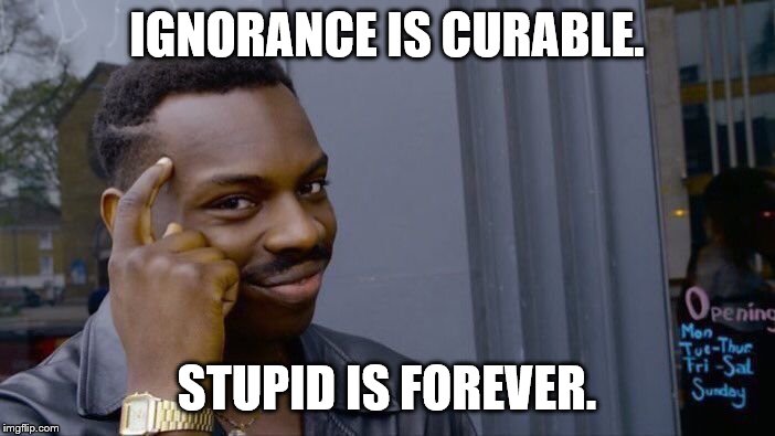 Roll Safe Think About It Meme | IGNORANCE IS CURABLE. STUPID IS FOREVER. | image tagged in memes,roll safe think about it | made w/ Imgflip meme maker