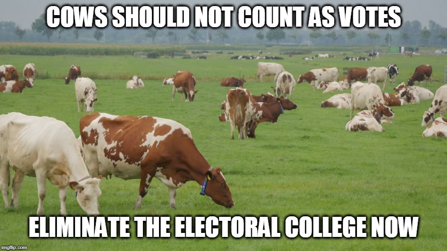 200 American Farmers should not have the same say as 100,000 Doctors | COWS SHOULD NOT COUNT AS VOTES; ELIMINATE THE ELECTORAL COLLEGE NOW | image tagged in memes,politics,electoral college,maga,vote | made w/ Imgflip meme maker