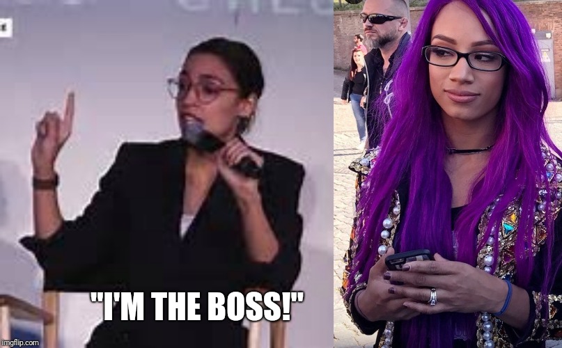 Wrestling Fans Would Get This.... | "I'M THE BOSS!" | image tagged in alexandria ocasio-cortez,pro wrestling,politics | made w/ Imgflip meme maker