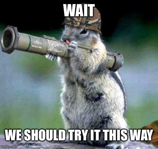 WAIT WE SHOULD TRY IT THIS WAY | image tagged in memes,bazooka squirrel | made w/ Imgflip meme maker