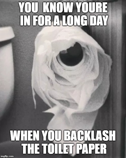 YOU  KNOW YOURE IN FOR A LONG DAY; WHEN YOU BACKLASH THE TOILET PAPER | made w/ Imgflip meme maker