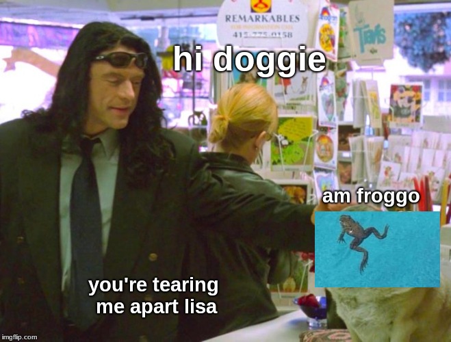 hi doggie; am froggo; you're tearing me apart lisa | image tagged in the room | made w/ Imgflip meme maker