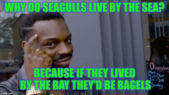 Roll Safe Think About It Meme | WHY DO SEAGULLS LIVE BY THE SEA? BECAUSE IF THEY LIVED BY THE BAY THEY'D BE BAGELS | image tagged in memes,roll safe think about it | made w/ Imgflip meme maker