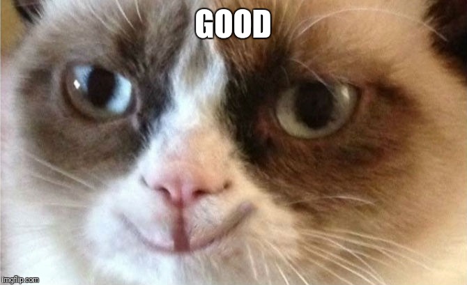 Grumpy Cat happy | GOOD | image tagged in grumpy cat happy | made w/ Imgflip meme maker