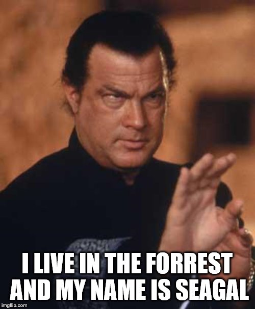 Steven Seagal | I LIVE IN THE FORREST AND MY NAME IS SEAGAL | image tagged in steven seagal | made w/ Imgflip meme maker