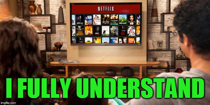 Netflix  | I FULLY UNDERSTAND | image tagged in netflix | made w/ Imgflip meme maker