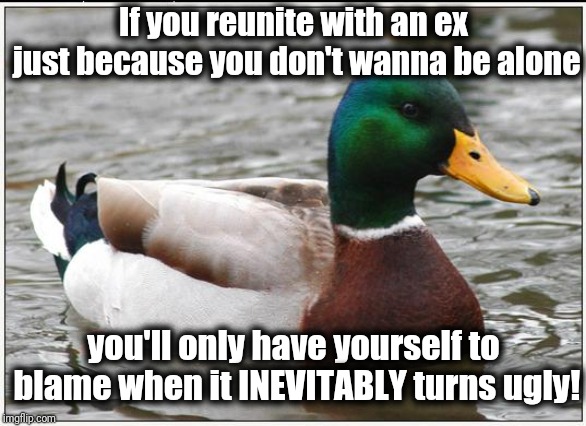 Actual Advice Mallard | If you reunite with an ex just because you don't wanna be alone; you'll only have yourself to blame when it INEVITABLY turns ugly! | image tagged in memes,actual advice mallard | made w/ Imgflip meme maker