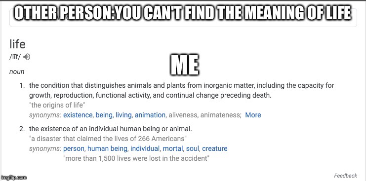 OTHER PERSON:YOU CAN'T FIND THE MEANING OF LIFE; ME | image tagged in oof | made w/ Imgflip meme maker