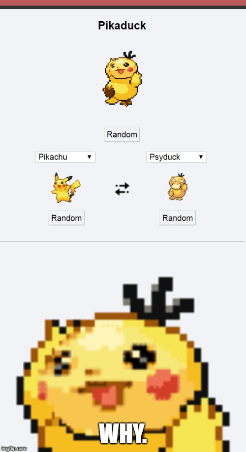 Pikaduck | WHY. | image tagged in pikaduck | made w/ Imgflip meme maker