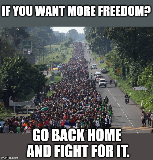 Freedom is earned, it is rarely given. | IF YOU WANT MORE FREEDOM? GO BACK HOME AND FIGHT FOR IT. | image tagged in migrant caravan | made w/ Imgflip meme maker