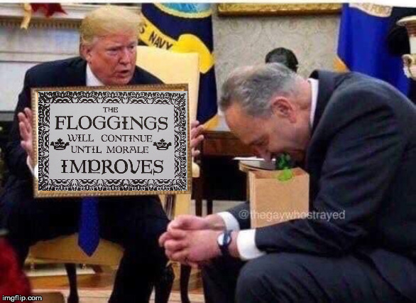 Trump embarrasses Schumer | image tagged in crying schumer,politics,conservatives,liberal | made w/ Imgflip meme maker