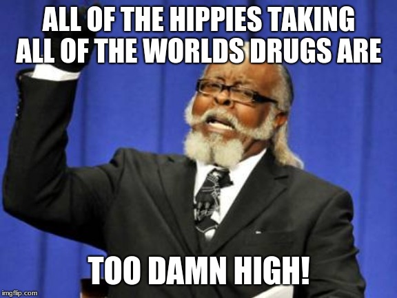 Literally too high  | ALL OF THE HIPPIES TAKING ALL OF THE WORLDS DRUGS ARE; TOO DAMN HIGH! | image tagged in memes,too damn high,funny,hippie | made w/ Imgflip meme maker