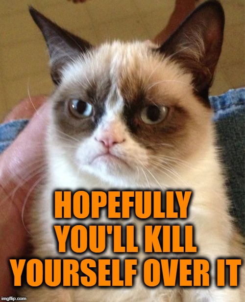 Grumpy Cat Meme | HOPEFULLY YOU'LL KILL YOURSELF OVER IT | image tagged in memes,grumpy cat | made w/ Imgflip meme maker