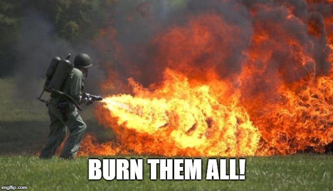 flamethrower | BURN THEM ALL! | image tagged in flamethrower | made w/ Imgflip meme maker