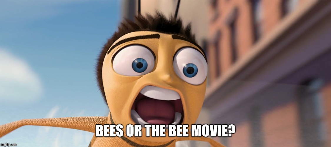 bee movie | BEES OR THE BEE MOVIE? | image tagged in bee movie | made w/ Imgflip meme maker