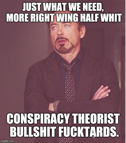 Face You Make Robert Downey Jr Meme | JUST WHAT WE NEED, MORE RIGHT WING HALF WHIT CONSPIRACY THEORIST BULLSHIT F**KTARDS. | image tagged in memes,face you make robert downey jr | made w/ Imgflip meme maker