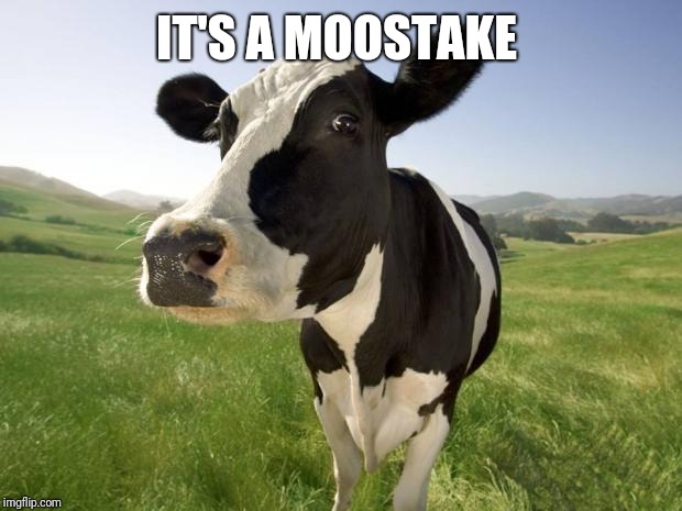 cow | IT'S A MOOSTAKE | image tagged in cow | made w/ Imgflip meme maker