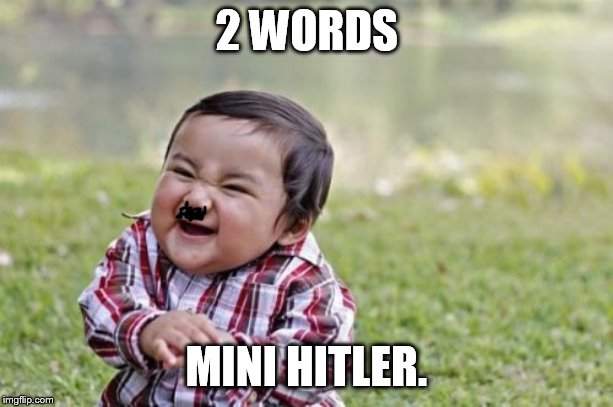 Evil Toddler Meme | 2 WORDS; MINI HITLER. | image tagged in memes,evil toddler | made w/ Imgflip meme maker
