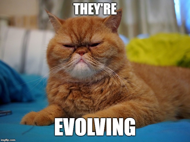 Suspicious Cat | THEY'RE EVOLVING | image tagged in suspicious cat | made w/ Imgflip meme maker