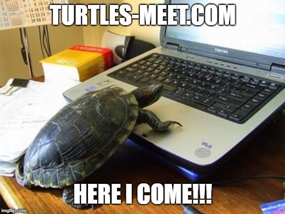 Turtle Computer | TURTLES-MEET.COM; HERE I COME!!! | image tagged in turtle computer | made w/ Imgflip meme maker