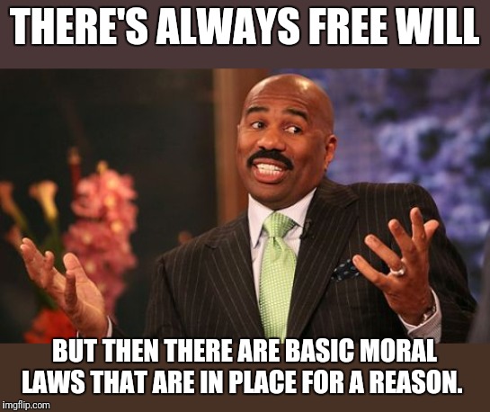 Steve Harvey Meme | THERE'S ALWAYS FREE WILL BUT THEN THERE ARE BASIC MORAL LAWS THAT ARE IN PLACE FOR A REASON. | image tagged in memes,steve harvey | made w/ Imgflip meme maker