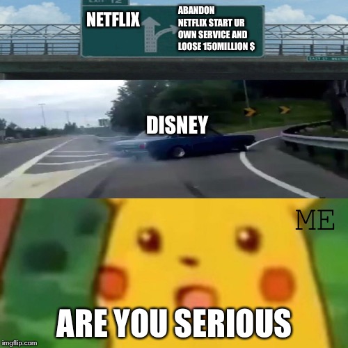 Are you serious Disney  | ABANDON NETFLIX START UR OWN SERVICE AND LOOSE 150MILLION $; NETFLIX; DISNEY; ME; ARE YOU SERIOUS | image tagged in memes,surprised pikachu | made w/ Imgflip meme maker