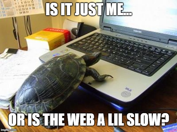 Slow Like A Turtle Meme Blageusdown 