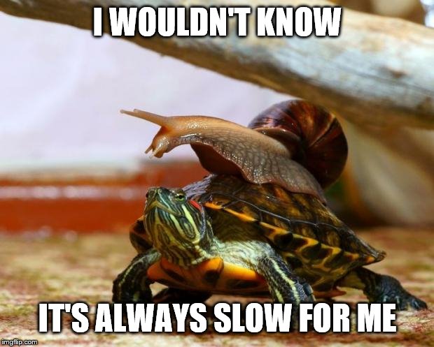 snail on a turtle | I WOULDN'T KNOW IT'S ALWAYS SLOW FOR ME | image tagged in snail on a turtle | made w/ Imgflip meme maker