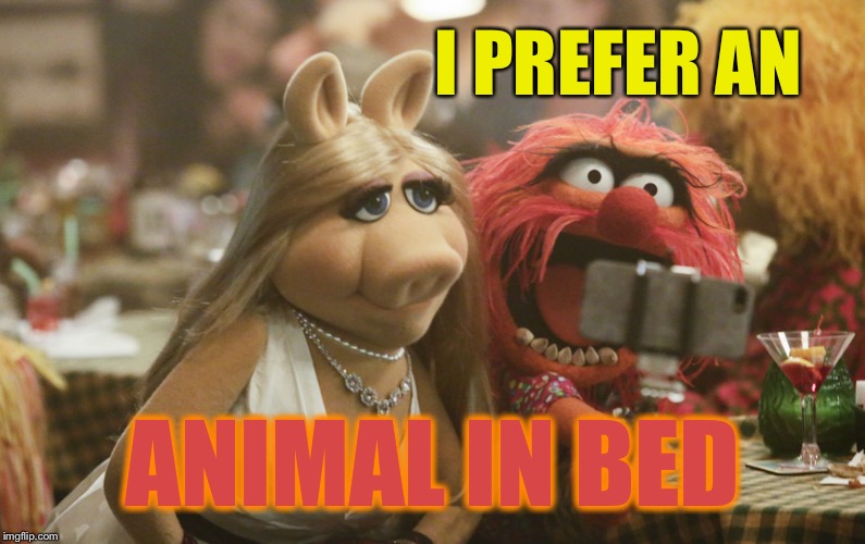 Miss Piggy and Animal | I PREFER AN ANIMAL IN BED | image tagged in miss piggy and animal | made w/ Imgflip meme maker