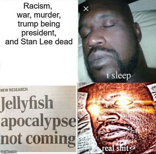 I don't understand | Racism, war, murder, trump being president, and Stan Lee dead | image tagged in memes,sleeping shaq,stupid,jellyfish,real shit | made w/ Imgflip meme maker