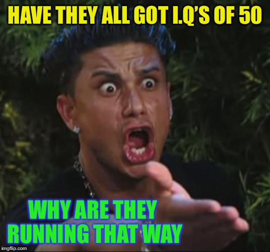 DJ Pauly D Meme | HAVE THEY ALL GOT I.Q’S OF 50 WHY ARE THEY RUNNING THAT WAY | image tagged in memes,dj pauly d | made w/ Imgflip meme maker