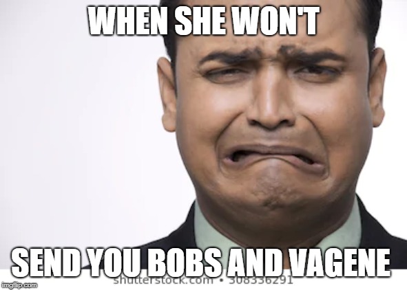 Bobs and Vagene | WHEN SHE WON'T; SEND YOU BOBS AND VAGENE | image tagged in funny memes | made w/ Imgflip meme maker