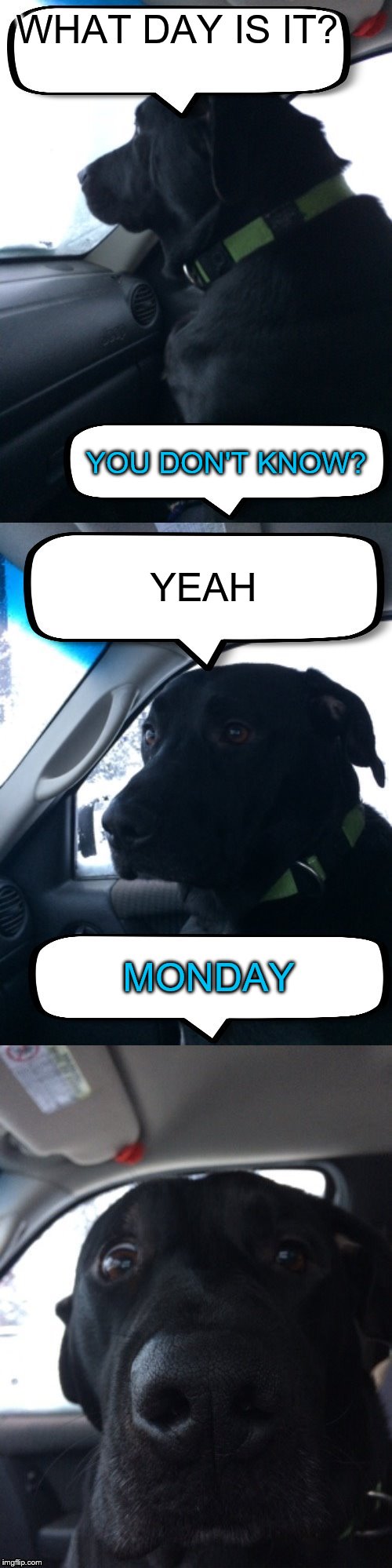 Dismayed Duke | WHAT DAY IS IT? YOU DON'T KNOW? YEAH; MONDAY | image tagged in dismayed duke | made w/ Imgflip meme maker