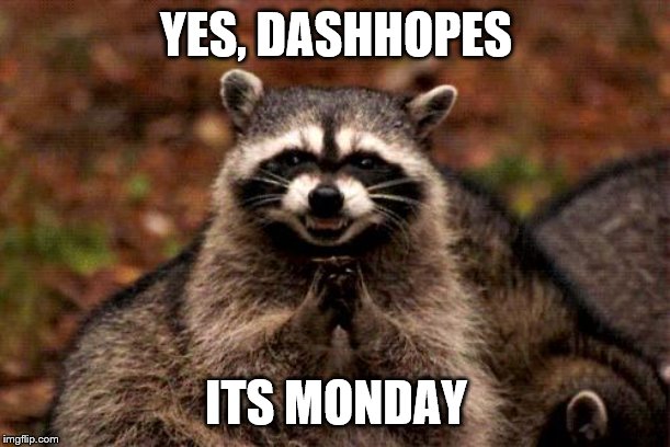 Evil Plotting Raccoon Meme | YES, DASHHOPES ITS MONDAY | image tagged in memes,evil plotting raccoon | made w/ Imgflip meme maker