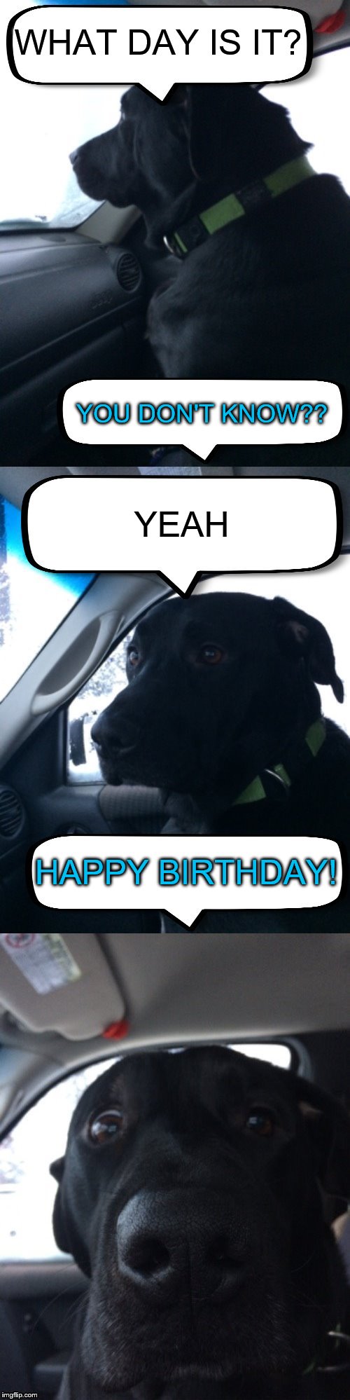 Dismayed Duke | WHAT DAY IS IT? YOU DON'T KNOW?? YEAH; HAPPY BIRTHDAY! | image tagged in dismayed duke | made w/ Imgflip meme maker