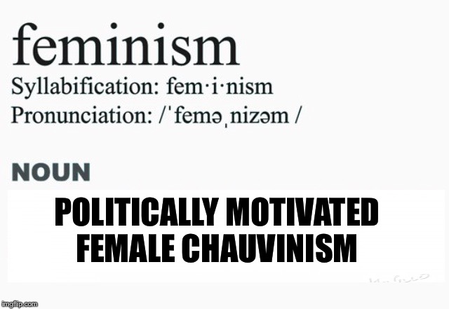 POLITICALLY MOTIVATED FEMALE CHAUVINISM | image tagged in feminism | made w/ Imgflip meme maker