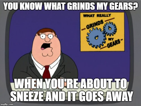 Peter Griffin News Meme | YOU KNOW WHAT GRINDS MY GEARS? WHEN YOU'RE ABOUT TO SNEEZE AND IT GOES AWAY | image tagged in memes,peter griffin news | made w/ Imgflip meme maker