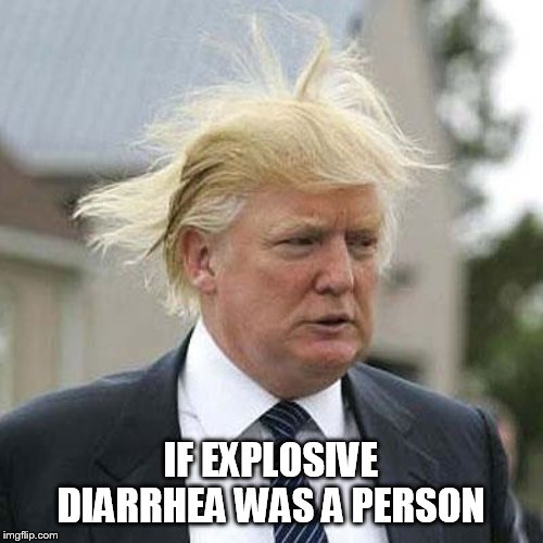 Donald Trump | IF EXPLOSIVE DIARRHEA WAS A PERSON | image tagged in donald trump | made w/ Imgflip meme maker