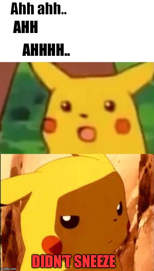 Ahh ahh.. AHH AHHHH.. DIDN’T SNEEZE | image tagged in memes,surprised pikachu | made w/ Imgflip meme maker