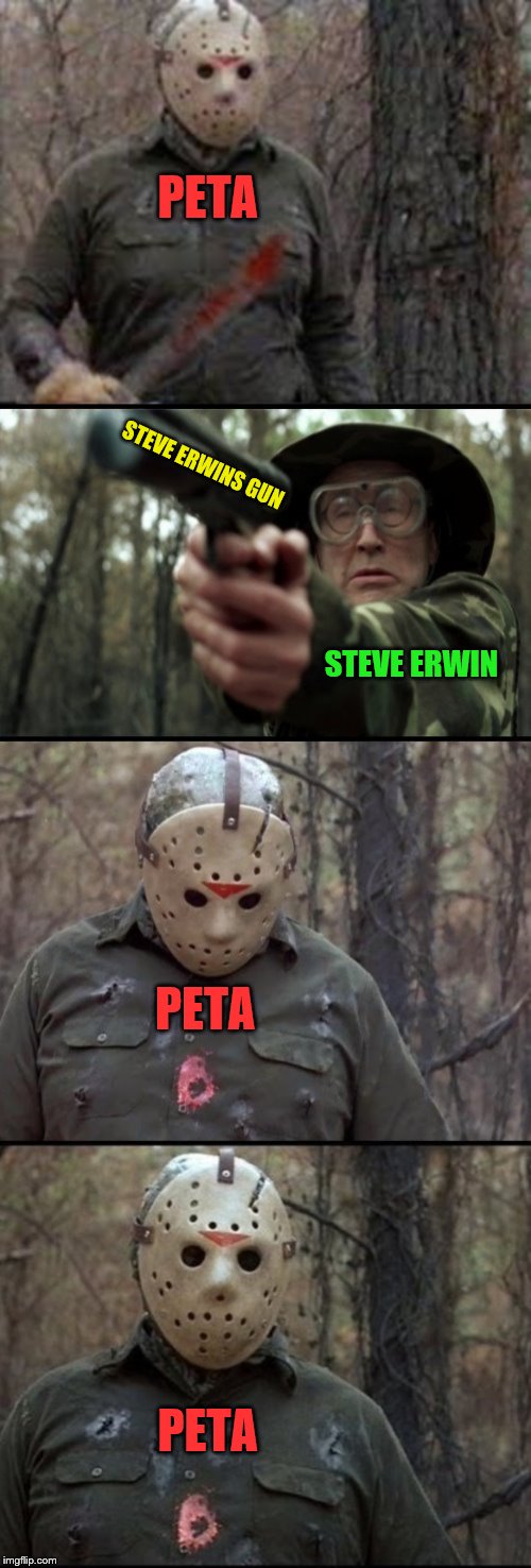 X Vs Y | PETA; STEVE ERWINS GUN; STEVE ERWIN; PETA; PETA | image tagged in x vs y | made w/ Imgflip meme maker