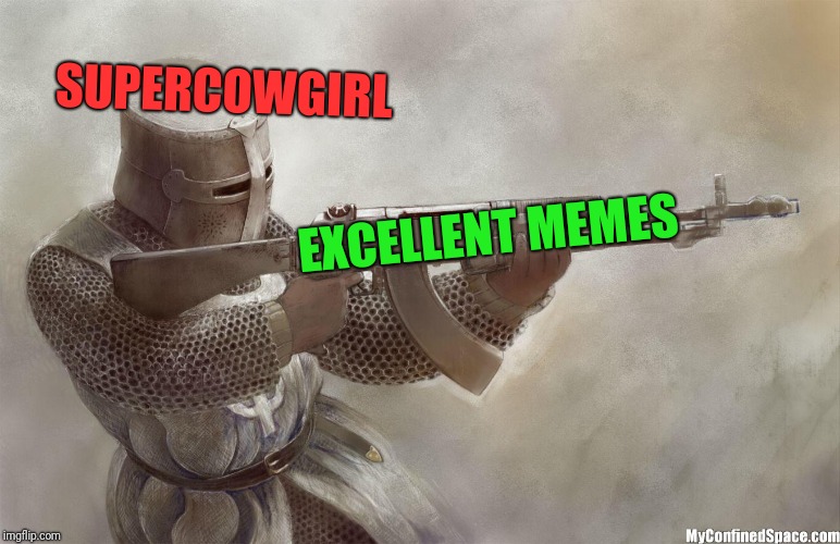 crusader rifle | EXCELLENT MEMES SUPERCOWGIRL | image tagged in crusader rifle | made w/ Imgflip meme maker