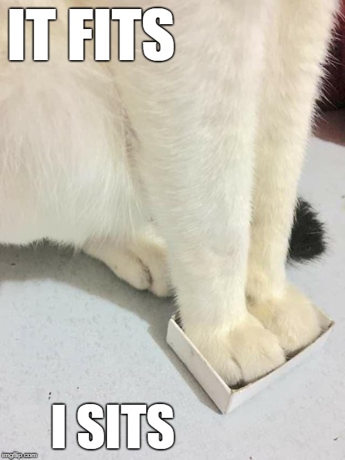 IT FITS; I SITS | image tagged in it fits i sits | made w/ Imgflip meme maker