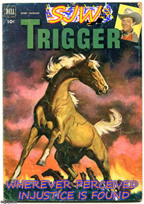 Social Justice Warrior Magazine | SJW; WHEREVER PERCEIVED INJUSTICE IS FOUND | image tagged in freakin' triggered | made w/ Imgflip meme maker