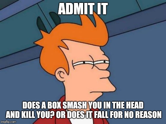 This is what an idiot telled me | ADMIT IT; DOES A BOX SMASH YOU IN THE HEAD AND KILL YOU? OR DOES IT FALL FOR NO REASON | image tagged in memes,futurama fry,boxes,death | made w/ Imgflip meme maker