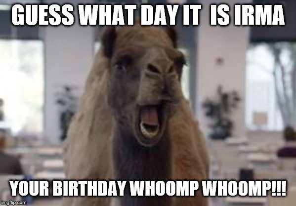 Hump Day Camel | GUESS WHAT DAY IT  IS IRMA; YOUR BIRTHDAY WHOOMP WHOOMP!!! | image tagged in hump day camel | made w/ Imgflip meme maker