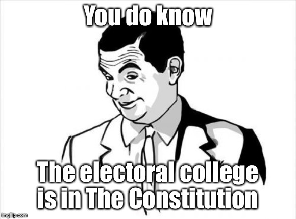 If You Know What I Mean Bean Meme | You do know The electoral college is in The Constitution | image tagged in memes,if you know what i mean bean | made w/ Imgflip meme maker